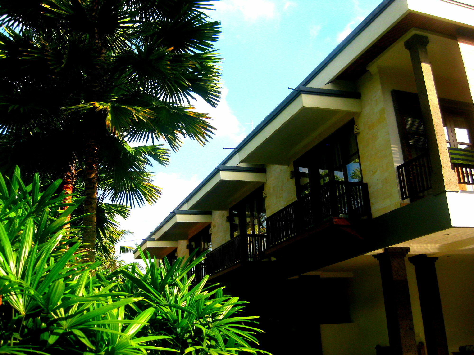Villa Sonia Bisma Ubud Buitenkant foto