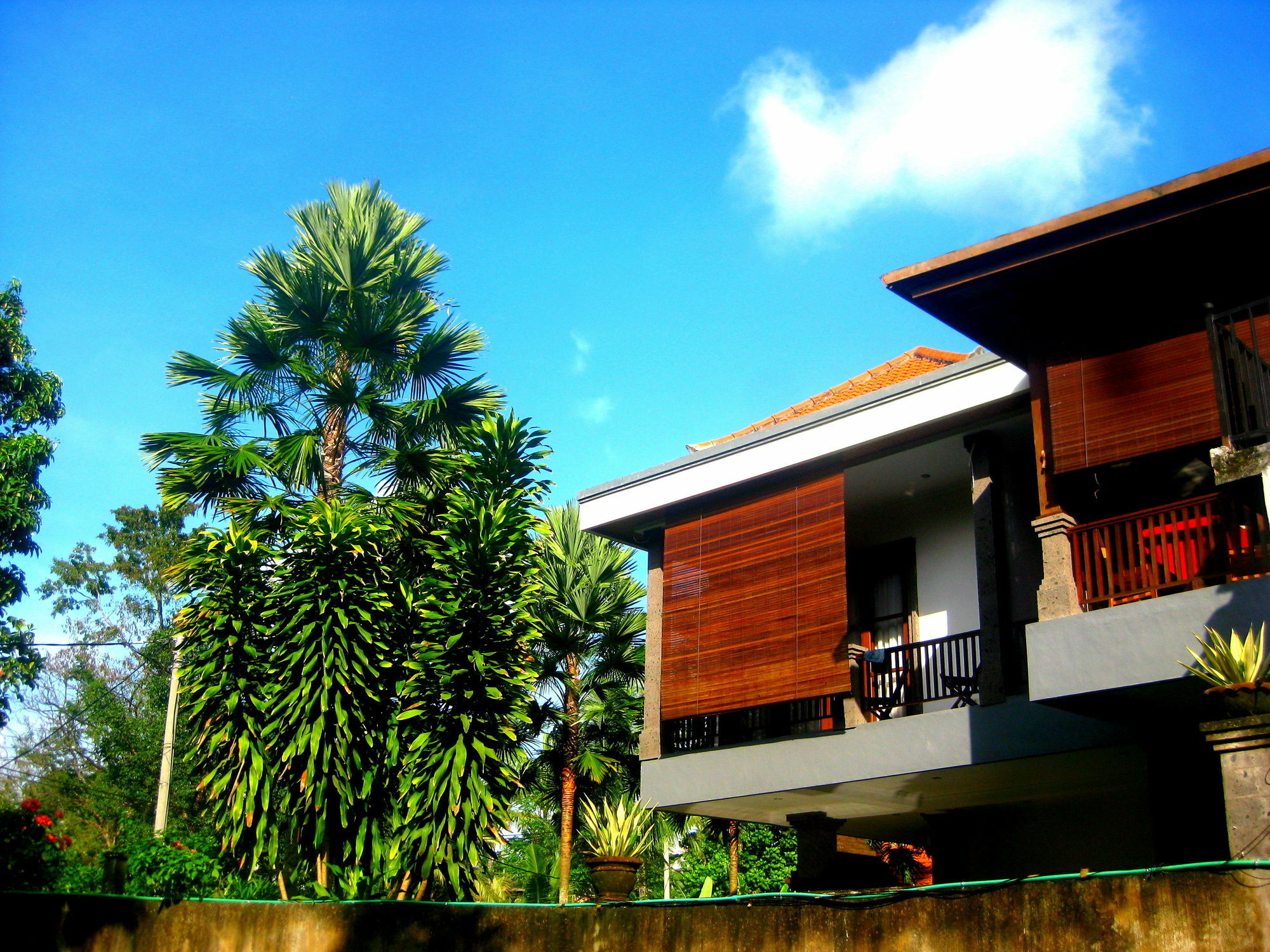Villa Sonia Bisma Ubud Buitenkant foto