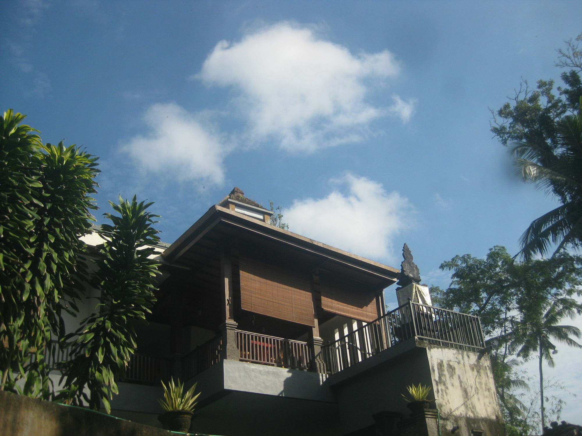 Villa Sonia Bisma Ubud Buitenkant foto